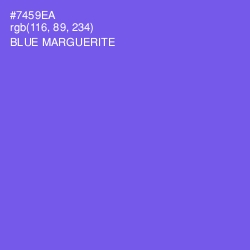 #7459EA - Blue Marguerite Color Image